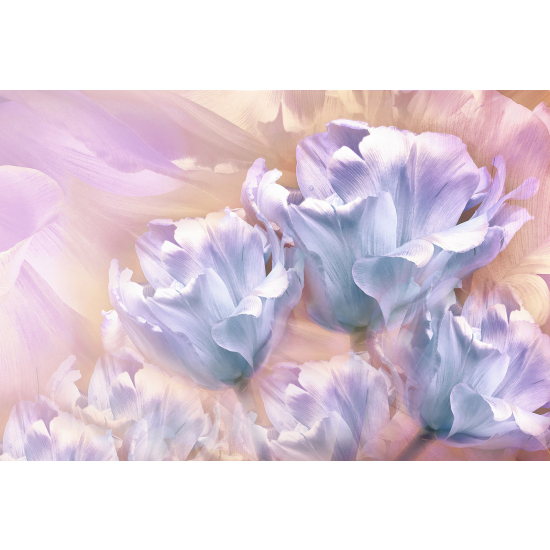 Panoramic Wallpaper - Wall Mural - Flowers