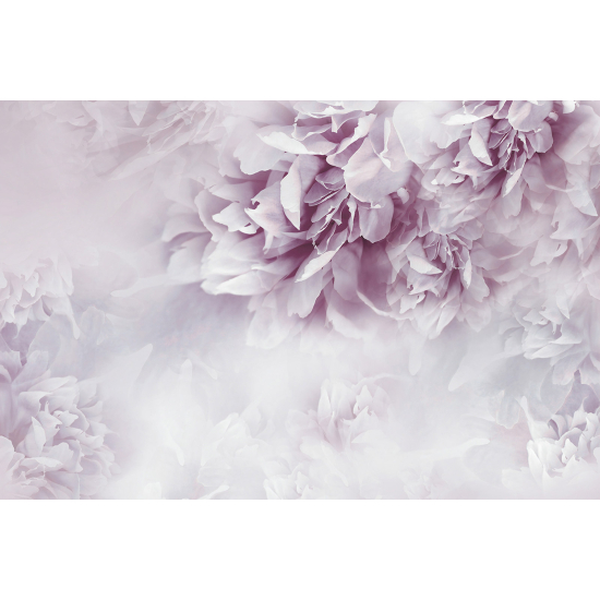 Panoramic Wallpaper - Wall Mural - Flowers