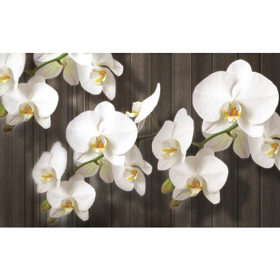 Panoramic Wallpaper - Wall Mural - Flowers