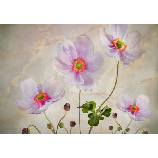 Panoramic Wallpaper - Wall Mural - Flowers