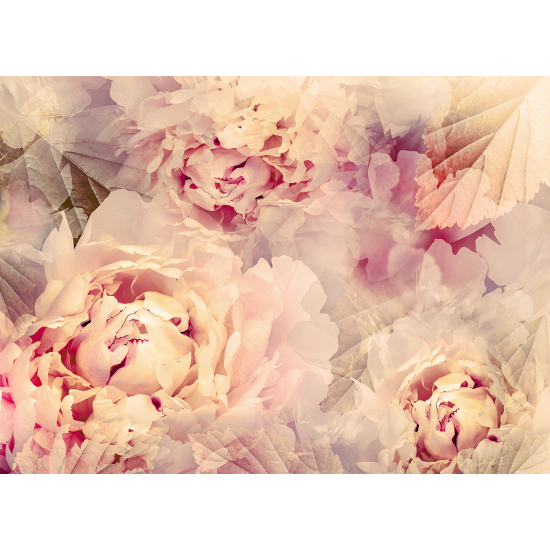 Panoramic Wallpaper - Wall Mural - Flowers