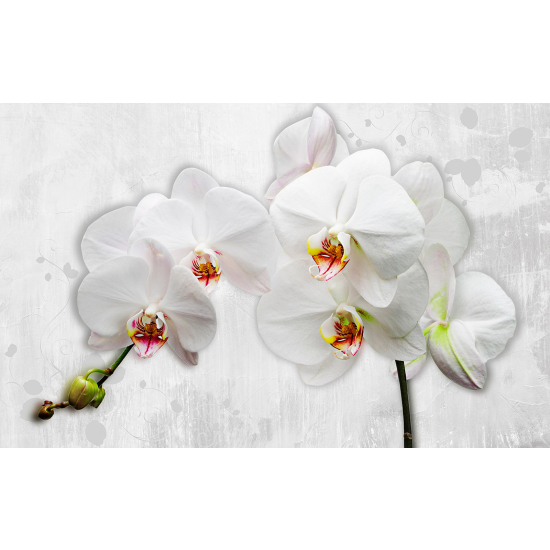 Panoramic Wallpaper - Wall Mural - Flowers