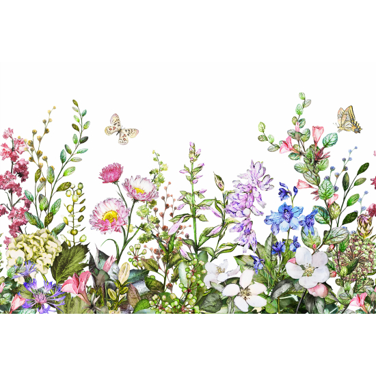 Panoramic Wallpaper - Wall Mural - Flowers Butterflies