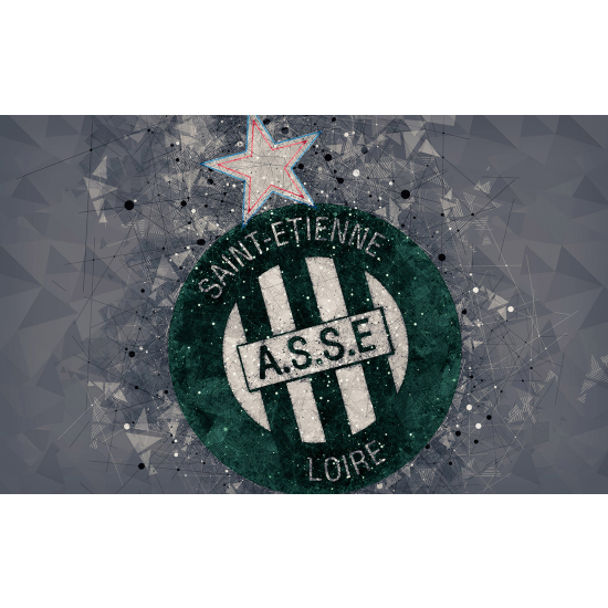 Panoramic Wallpaper - Wall Mural Foot / Football - A.S.S.E Saint-Étienne