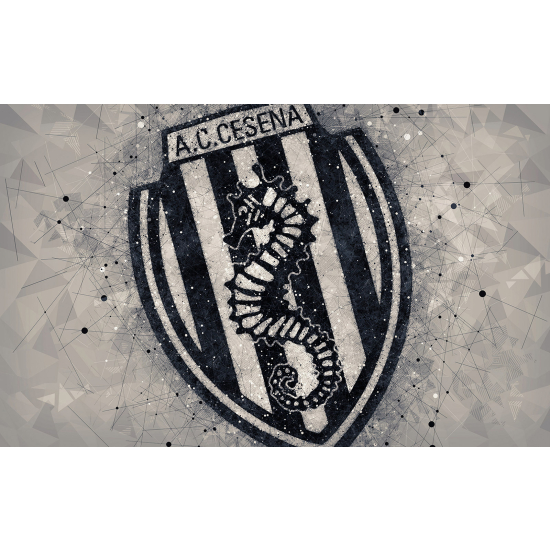 Panoramic Wallpaper - Wall Mural Foot / Football - AC CESENA