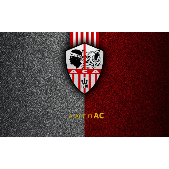 Panoramic Wallpaper - Wall Mural Foot / Football - ACA - AC Ajaccio