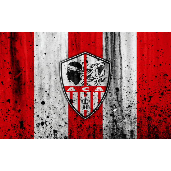 Panoramic Wallpaper - Wall Mural Foot / Football - ACA - AC Ajaccio