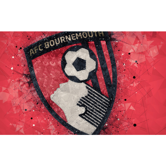 Panoramic Wallpaper - Wall Mural Foot / Football - AFC Bournemouth