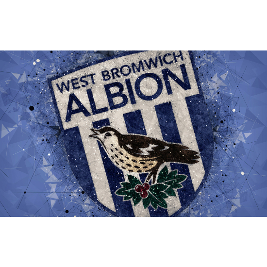 Panoramic Wallpaper - Wall Mural Foot / Football - ALBION