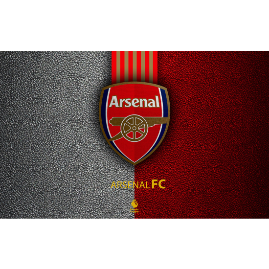 Panoramic Wallpaper - Wall Mural Foot / Football - Arsenal