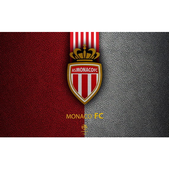 Panoramic Wallpaper - Wall Mural Foot / Football - AS Monaco FC