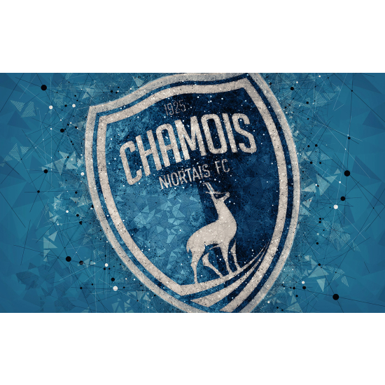 Panoramic Wallpaper - Wall Mural Foot / Football - Chamois - Nortais FC