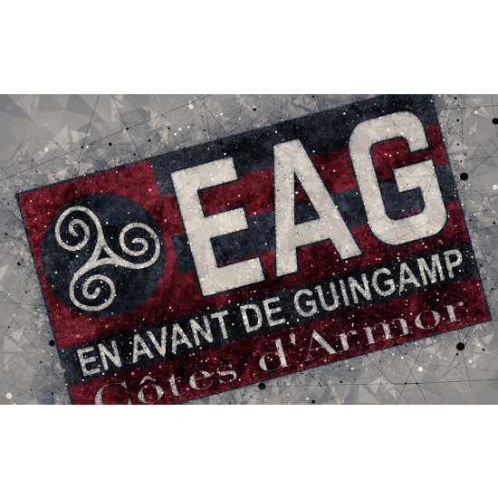 Panoramic Wallpaper - Wall Mural Foot / Football -EAG - Guingamp