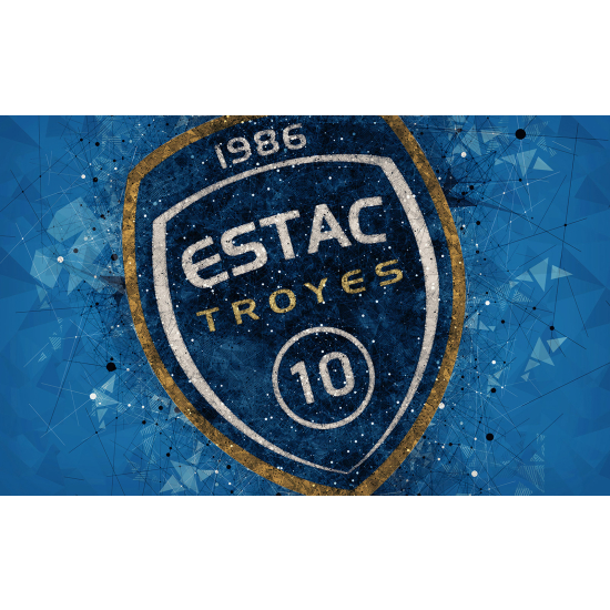 Panoramic Wallpaper - Wall Mural Foot / Football - ESTAC - Troyes