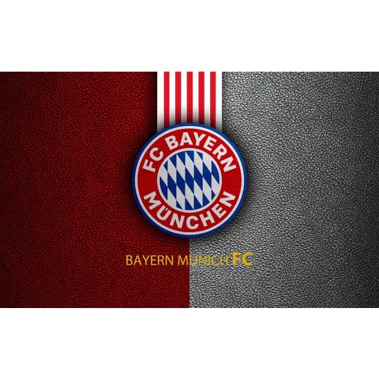 Panoramic Wallpaper - Wall Mural Foot / Football - FC Bayern Munich