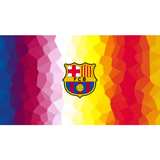 Panoramic Wallpaper - Wall Mural Foot / Football - FCB Barcelona