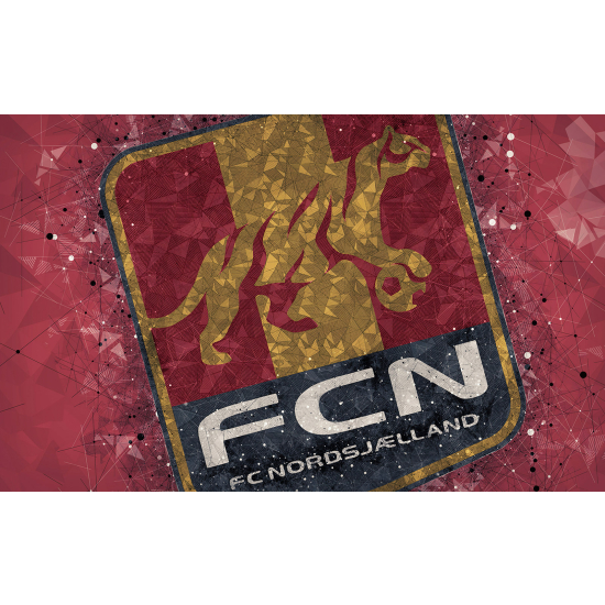 Panoramic Wallpaper - Wall Mural Foot / Football - FCN