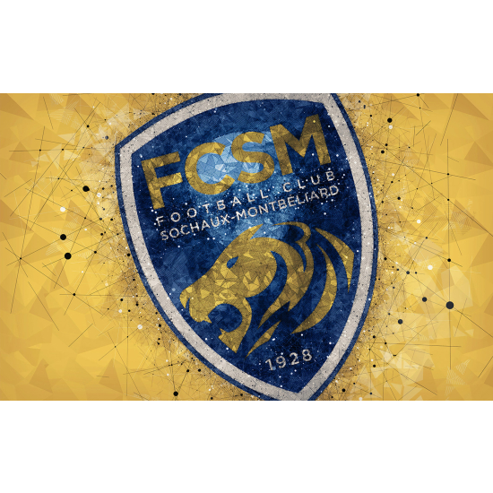 Panoramic Wallpaper - Wall Mural Foot / Football - FCSM - Sochaux-Montbeliard