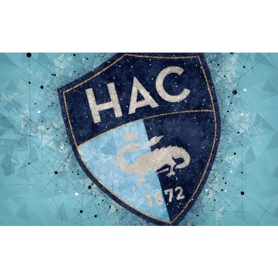 Panoramic Wallpaper - Wall Mural Foot / Football - HAC - Havre Athletic Club