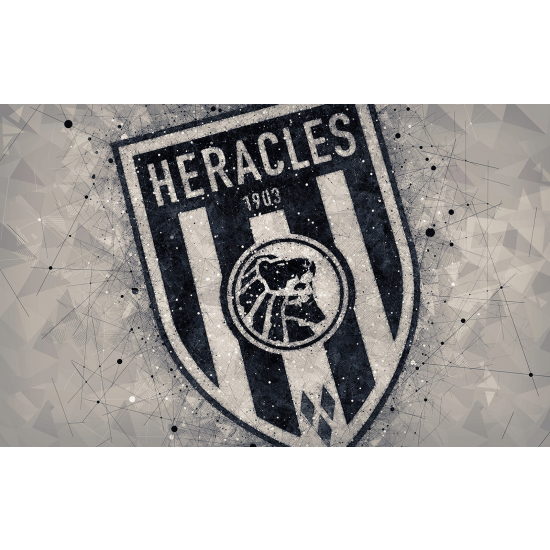 Panoramic Wallpaper - Wall Mural Foot / Football - HERACLES