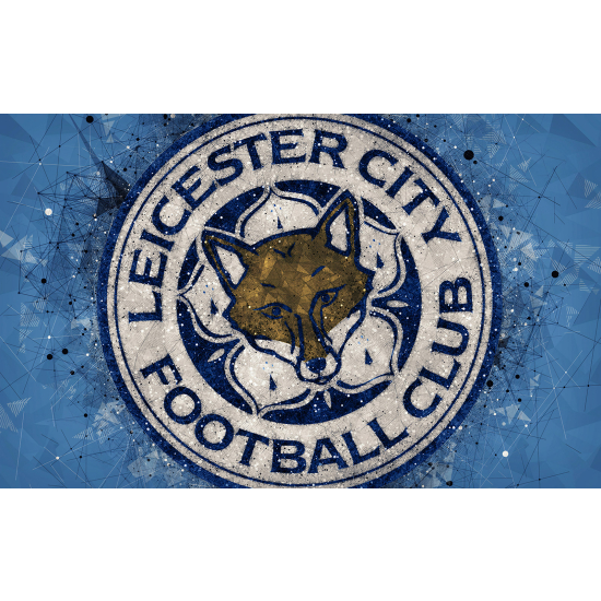 Panoramic Wallpaper - Wall Mural Foot / Football - Leicester City