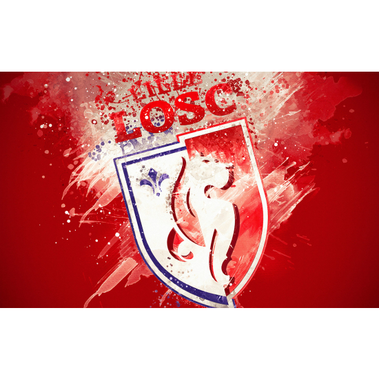 Panoramic Wallpaper - Wall Mural Foot / Football - LOSC - Lille