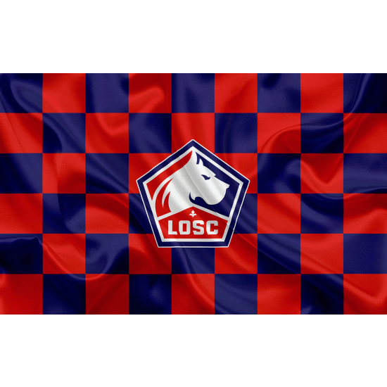 Panoramic Wallpaper - Wall Mural Foot / Football - LOSC - Lille