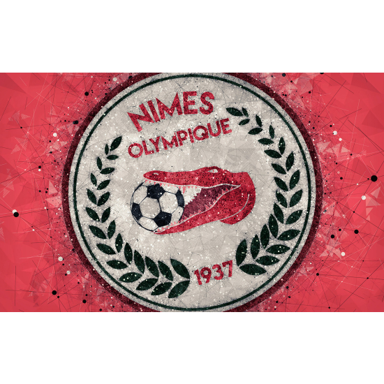 Panoramic Wallpaper - Wall Mural Foot / Football - Nimes Olympique