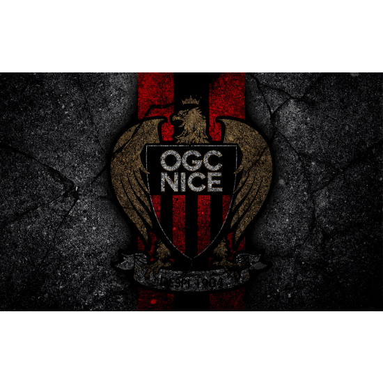 Panoramic Wallpaper - Wall Mural Foot / Football - OGC Nice