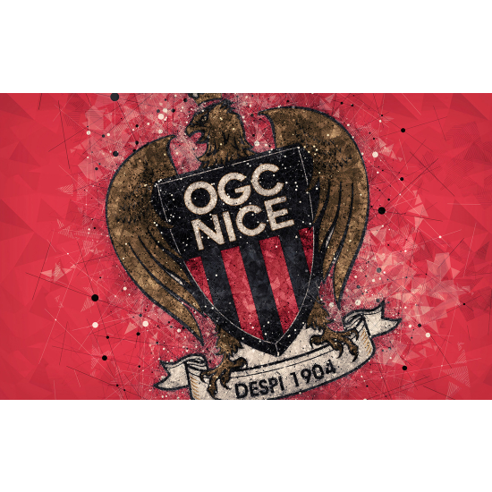 Panoramic Wallpaper - Wall Mural Foot / Football - OGC Nice