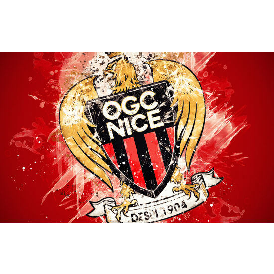 Panoramic Wallpaper - Wall Mural Foot / Football - OGC Nice