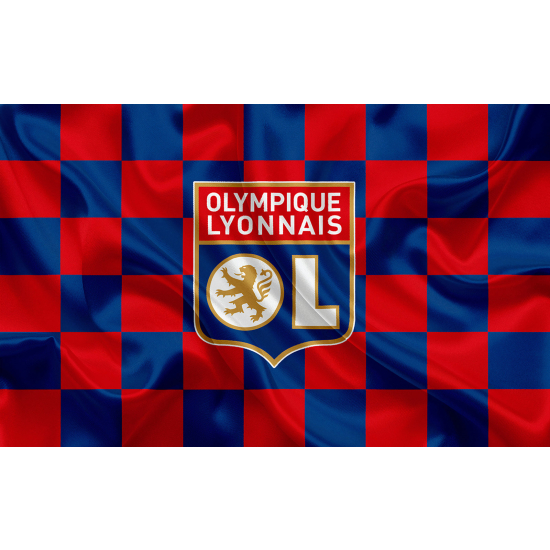 Panoramic Wallpaper - Wall Mural Foot / Football - OL - Olympique Lyonnais