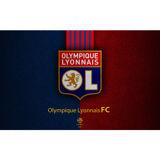 Panoramic Wallpaper - Wall Mural Foot / Football - OL - Olympique Lyonnais