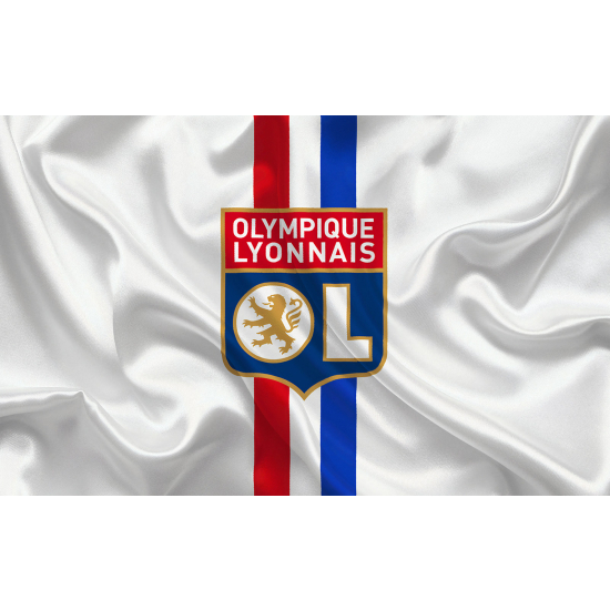 Panoramic Wallpaper - Wall Mural Foot / Football - OL - Olympique Lyonnais