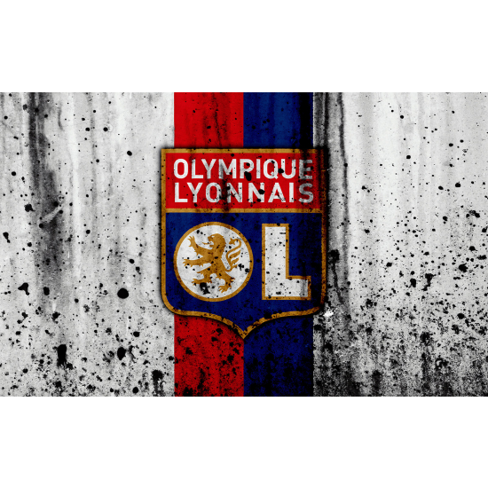 Panoramic Wallpaper - Wall Mural Foot / Football - OL - Olympique Lyonnais