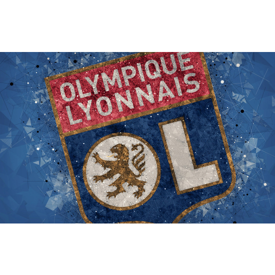 Panoramic Wallpaper - Wall Mural Foot / Football - OL - Olympique Lyonnais