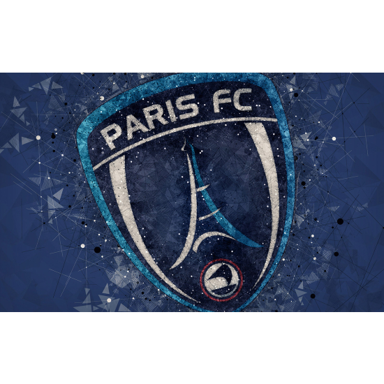 Panoramic Wallpaper - Wall Mural Foot / Football - Paris FC