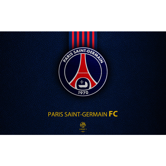 Panoramic Wallpaper - Wall Mural Foot / Football - PSG - Paris Saint Germain