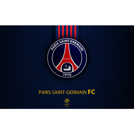 Panoramic Wallpaper - Wall Mural Foot / Football - PSG - Paris Saint Germain