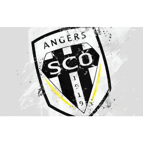 Panoramic Wallpaper - Wall Mural Foot / Football - SCO - Angers