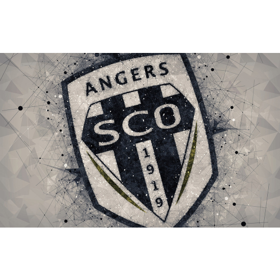 Panoramic Wallpaper - Wall Mural Foot / Football - SCO Angers