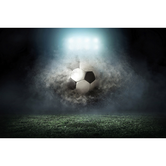 Panoramic Wallpaper - Wall Mural Foot / Football - Soccer ball