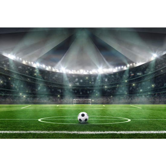 Panoramic Wallpaper - Wall Mural Foot / Football - Soccer ball