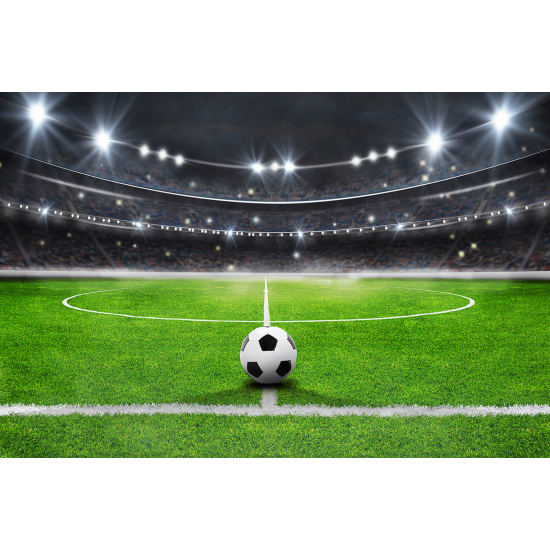 Panoramic Wallpaper - Wall Mural Foot / Football - Soccer ball