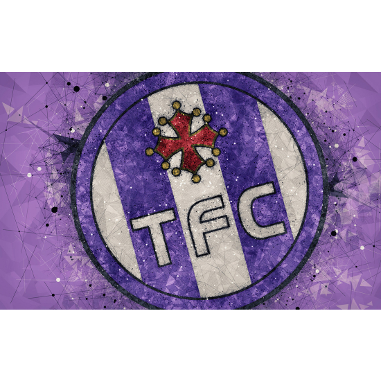 Panoramic Wallpaper - Wall Mural Foot / Football - TFC - Toulouse Football Club