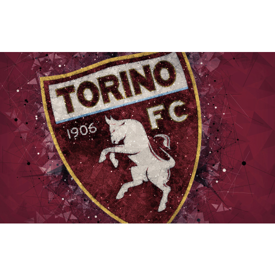 Panoramic Wallpaper - Wall Mural Foot / Football - TORINO FC