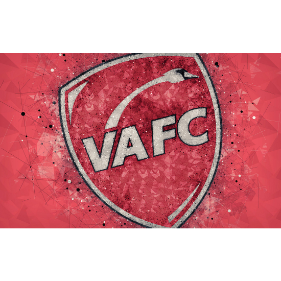 Panoramic Wallpaper - Wall Mural Foot / Football - VA FC - Valenciennes Football Club