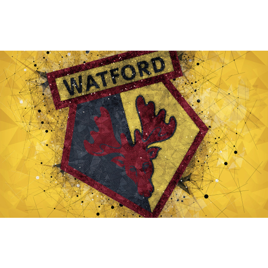 Panoramic Wallpaper - Wall Mural Foot / Football - WATFORD