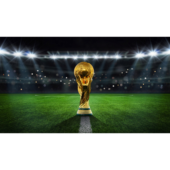 Panoramic Wallpaper - Wall Mural Foot / Football - World Cup