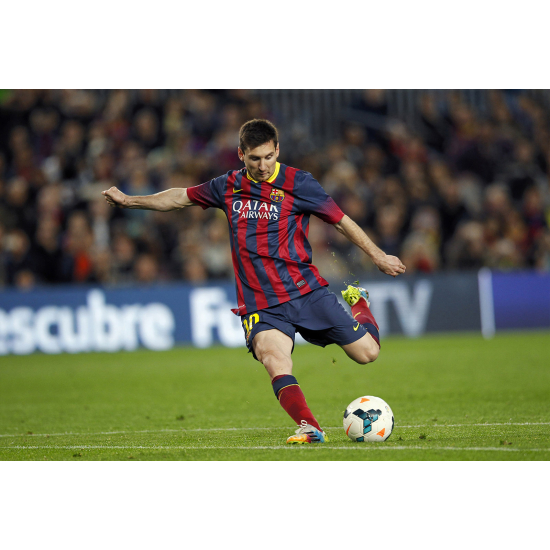 Panoramic Wallpaper - Wall Mural Football - Soccer Player